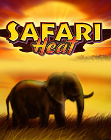  Safari Heat