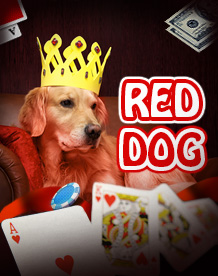  Red Dog