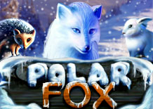  Polar Fox