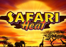 Safari Heat