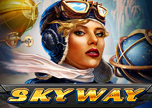 Игровой автомат SkyWay HD