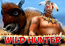 Игровой автомат Wild Hunter (Дикий Охотник)