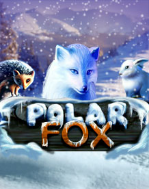  Polar Fox